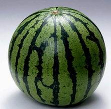 吃瓜观看图片,吃瓜群众视角下的视觉盛宴