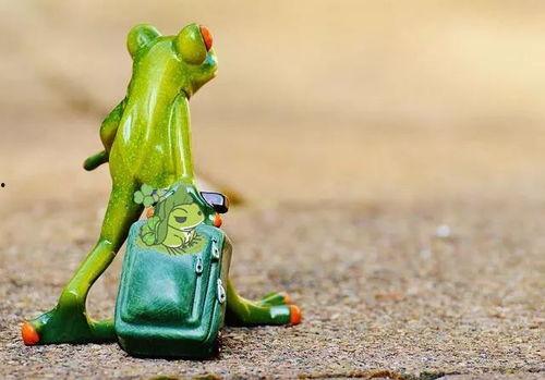 小青蛙吃瓜爆料,揭秘娱乐圈幕后真相