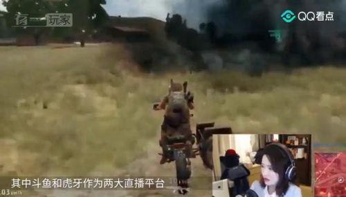 吃瓜群众看打仗,吃瓜群众视角下的战争风云