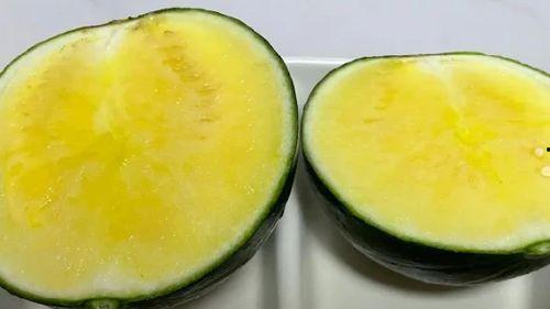 北京朝阳大妈吃瓜