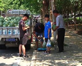 雄县吃瓜群众事迹,谱写新时代群众自治新篇章