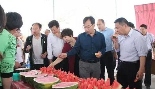 雄县吃瓜群众事迹,谱写新时代群众自治新篇章