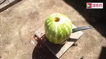 被子里面吃瓜,被子里偷吃瓜的甜蜜诱惑