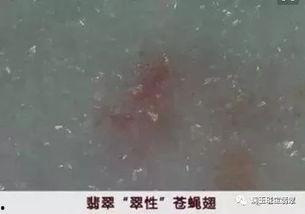 暗语吃瓜,揭秘“吃瓜”背后的网络暗语文化