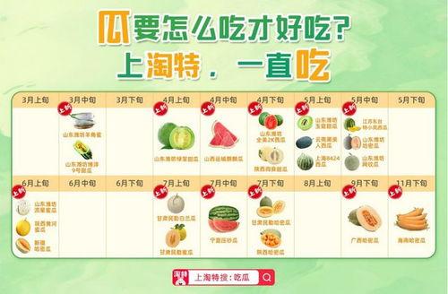 淘特吃瓜密码,探寻网购乐趣背后的秘密