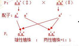 落秋吃瓜人物关系,揭秘瓜园里的复杂人物关系