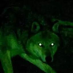 穿越吃瓜躺赢,一场奇幻的逆袭之旅