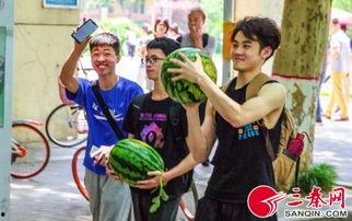 在线吃瓜小说学校,吃瓜群众眼中的校园秘事