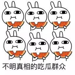 吃瓜有多努力,吃瓜有多努力？