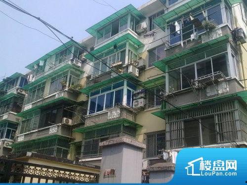 小区门口情侣吃瓜,甜蜜瞬间引邻里羡慕