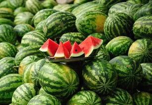 吃瓜幸福感,揭秘吃瓜幸福感背后的秘密