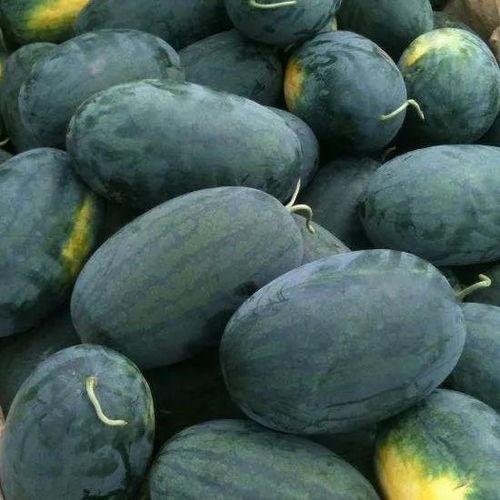 在京城吃瓜,揭秘京城街头巷尾的热辣吃瓜故事