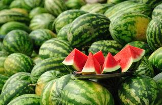 种瓜吃瓜卖瓜的故事原文