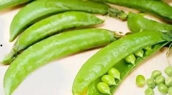 酷豆吃瓜,揭秘娱乐圈那些不为人知的幕后故事