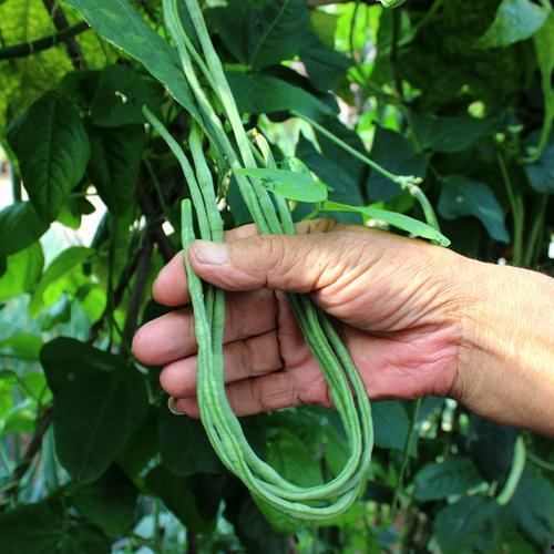 酷豆吃瓜,揭秘娱乐圈那些不为人知的幕后故事