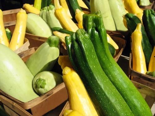 带你吃瓜生成器,揭秘娱乐圈那些不为人知的幕后故事