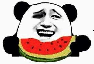 吃瓜群众带你吃瓜,吃瓜群众带你领略娱乐圈的瓜香四溢