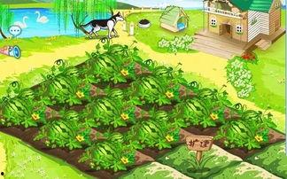 吃瓜使我们快乐,揭秘快乐背后的秘密