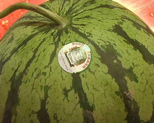 吃瓜另类说法,揭秘吃瓜群众的另类生活态度