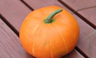 秋天吃大瓜,品味秋天的丰收美味