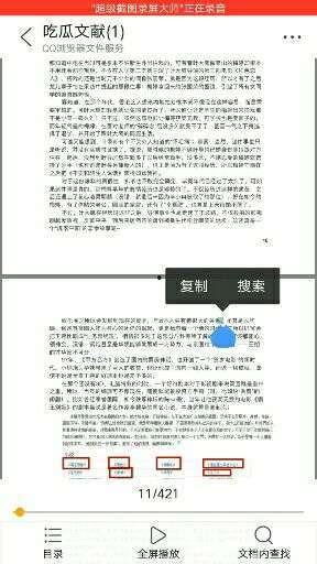 吃瓜421页pdf,深度解析热点事件背后的真相