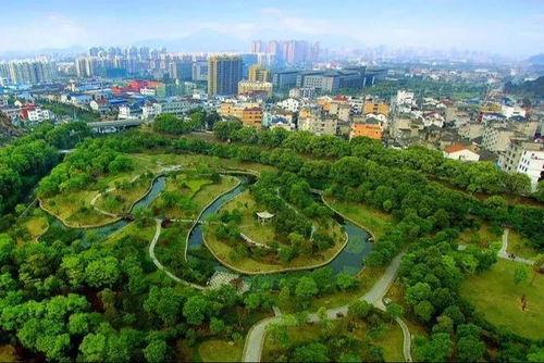 温州吃瓜大市,吃瓜大市的美食盛宴