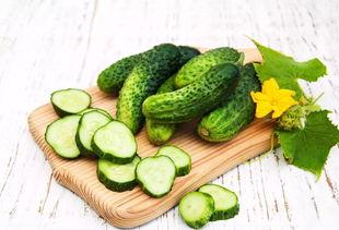 吃瓜一班,揭秘校园里的“瓜田”趣事