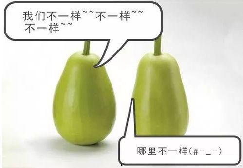 安叔吃瓜,揭秘娱乐圈那些不为人知的幕后故事