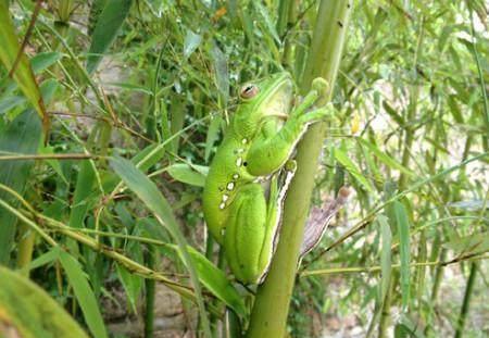 雨竹吃瓜,揭秘娱乐圈幕后故事