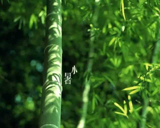 雨竹吃瓜,揭秘娱乐圈幕后故事