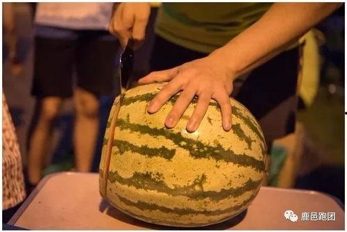 吃瓜比赛照片真实图片,一场吃瓜比赛的视觉盛宴