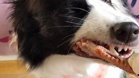 黑狗吃瓜,揭秘瓜界奇闻轶事