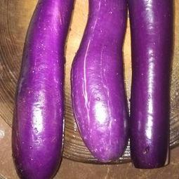 头痛可以吃茄瓜