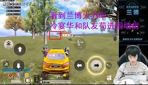 兰博直播吃瓜,揭秘娱乐圈幕后故事