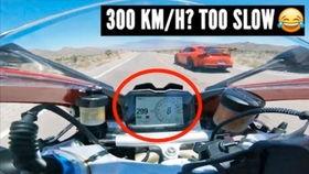 兰博直播吃瓜,揭秘娱乐圈幕后故事