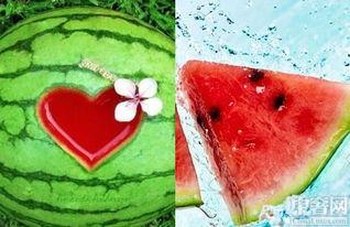 高校请全校吃瓜,高校盛情款待，共品瓜香盛宴