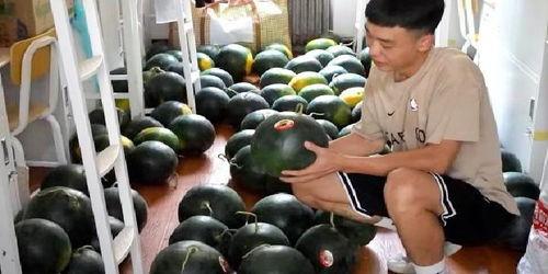 高校请全校吃瓜,高校盛情款待，共品瓜香盛宴