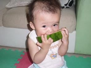 小猪咪吃瓜,小猪咪的瓜田奇遇记