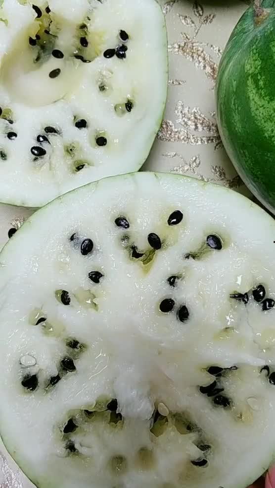 兰州 吃瓜,瓜果飘香，品味瓜乡风情