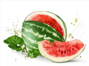 兰州 吃瓜,瓜果飘香，品味瓜乡风情