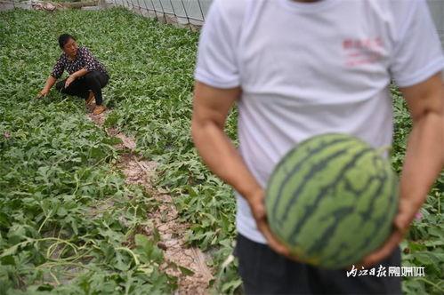 吃瓜的来这里,吃瓜群众眼中的明星生活