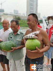 阿拉泰吃瓜,揭秘娱乐圈幕后故事