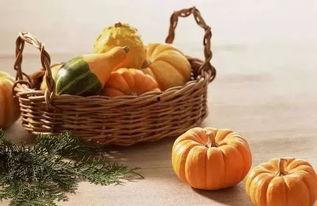 外皮可以吃的瓜,揭秘可食用外皮瓜类美食