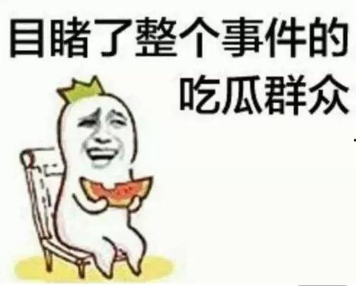 吃瓜师叔,网络红人的崛起与影响力