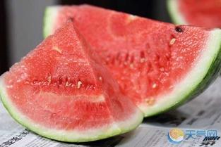 吃西瓜视频瓜地里,吃西瓜视频带你领略田园风光