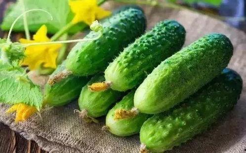 带你吃瓜养动物,带你走进“吃瓜养动物”的奇妙世界