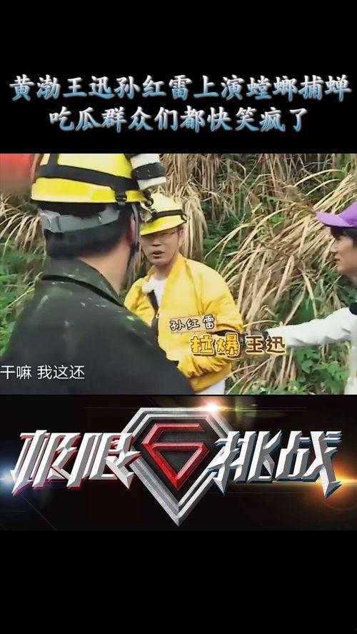 吃瓜直播挑战,揭秘网红们的“瓜田”生活