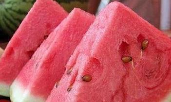 电脑吃瓜,揭秘网络时代的“吃瓜群众”现象