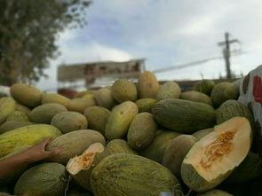 吃瓜铺天盖地,铺天盖地的事件背后真相揭秘