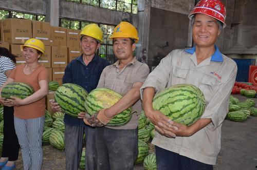 吃瓜的农民工,揭秘他们的日常娱乐与心声